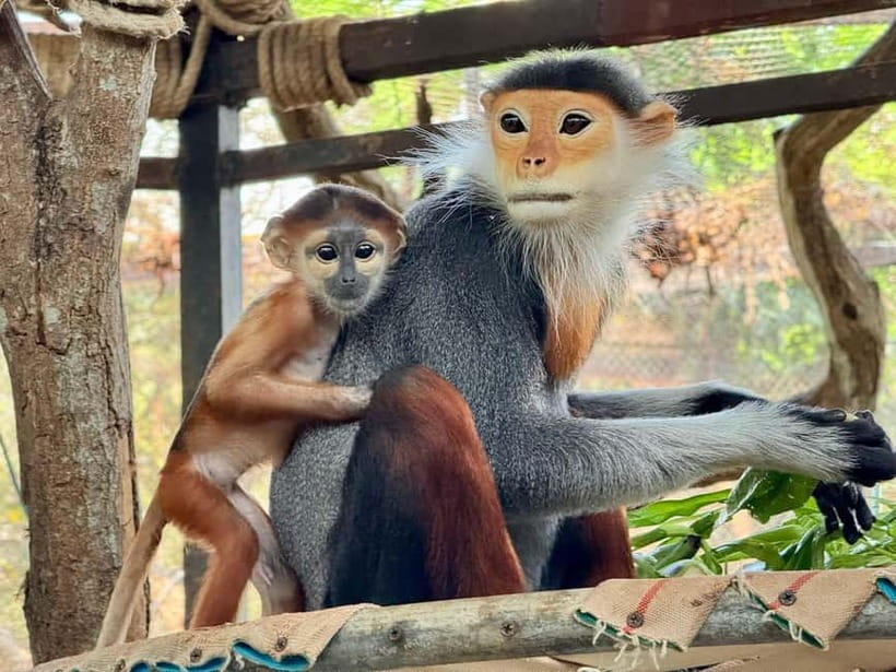 Bangkok/Pattaya: Khao Kheow Zoo Private Tour with Pickup - Green Zone Walking (and Tram or Golf Cart): More Control Over Your Pace