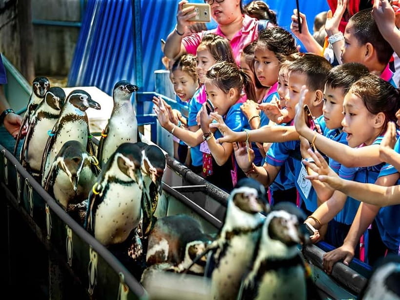 Bangkok/Pattaya: Khao Kheow Zoo Private Tour with Pickup - Should You Book This Private Khao Kheow Tour?
