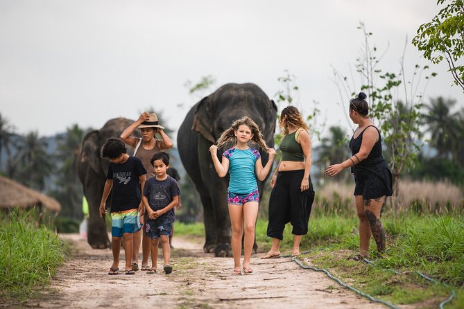 Elephant Jungle Sanctuary: Half Day Morning Program - Lunch in the Thai style: good food, but watch the insects