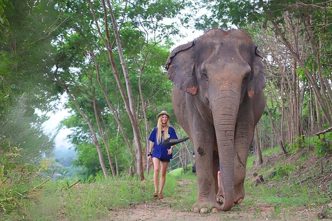 Ethical Elephant Sanctuary Tour from Bangkok & Pattaya - What makes Living Green feel genuinely ethical