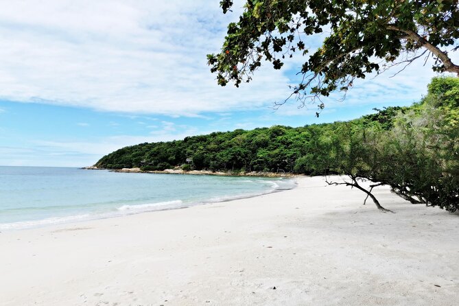 Full-Day on Koh Samet from Pattaya - Price and value: what $37.74 buys you (and why it’s fair)