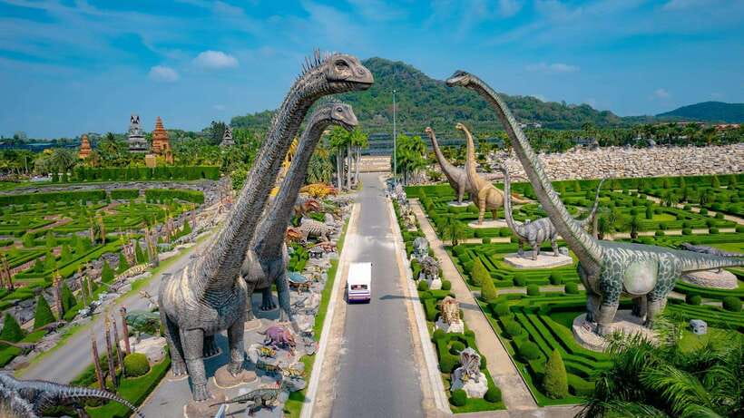 Hop-On Hop-Off Bus Tours and Nongnooch Pattaya Combo - Nong Nooch Pattaya: Where the Day Turns Into a Real Attraction