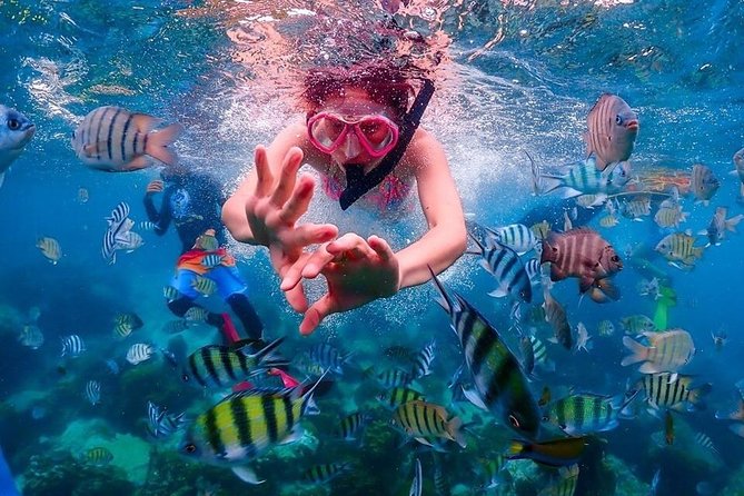 Nemo Island Experience with Drone Photos and Lunch - Second Snorkel Spot (About 6 Meters): More Marine Life, More Challenge
