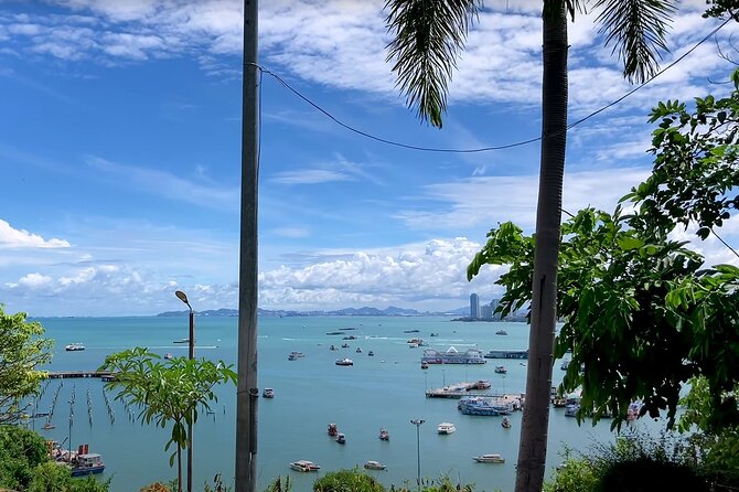 Pattaya City Tour: Big Buddha, Viewpoint and Gems Gallery - Bali Hai Pier: the seaside hub behind the day-trips