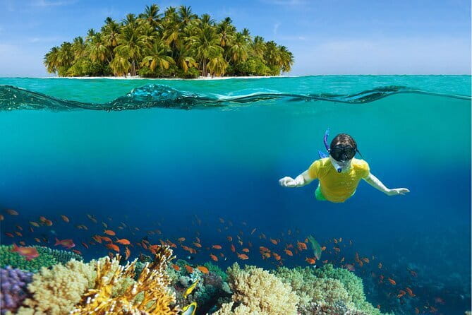 Pattaya: Coral Island Tour with Water Sports, Lunch & Pickup Drop - Price and What $88.57 Really Buys You