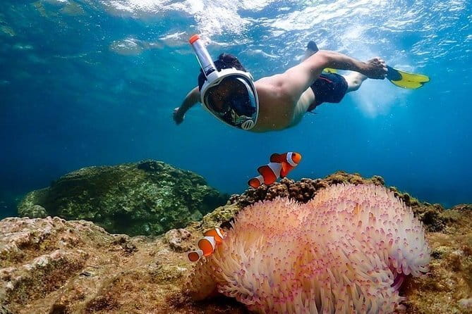 Pattaya: Coral Island Tour with Water Sports, Lunch & Pickup Drop - Jet Ski and Banana Boat: Adrenaline Portions That Need Setup Time