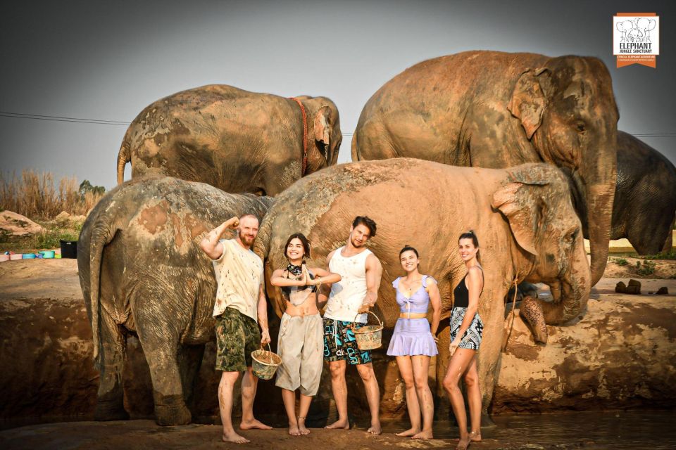 Pattaya: Elephant Jungle Sanctuary Feeding Experience - Key Things That Make This Elephant Feeding Session Worth Your Time