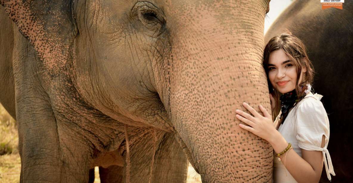 Pattaya: Elephant Jungle Sanctuary Feeding Experience - Feeding Time: What You’re Actually Doing for 30–150 Minutes