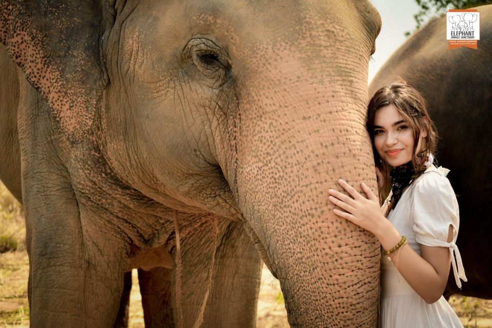 Pattaya: Elephant Jungle Sanctuary Feeding Experience - Who This Elephant Feeding Experience Is Best For