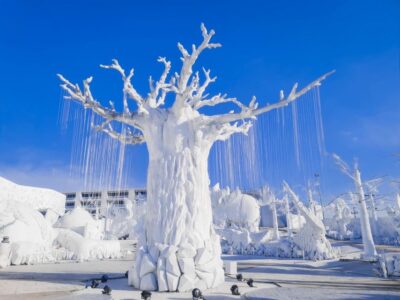 Pattaya: Frost Magical Ice of Siam Entry Ticket - What you’ll see inside: ice domes, Thai-themed exhibits, and carved souvenirs