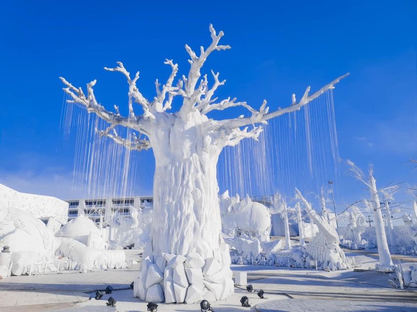 Pattaya: Frost Magical Ice of Siam Entry Ticket - What you’ll see inside: ice domes, Thai-themed exhibits, and carved souvenirs
