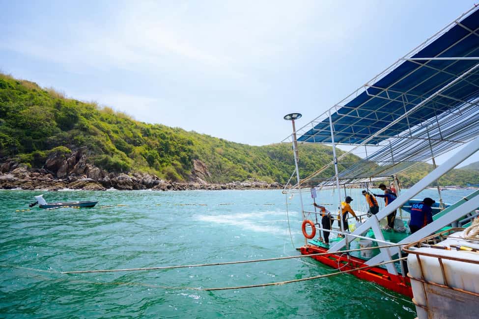 Pattaya Island Trip with Indian Lunch & Flexible Pickup Time - Pickup logistics: Pattaya City hotels only