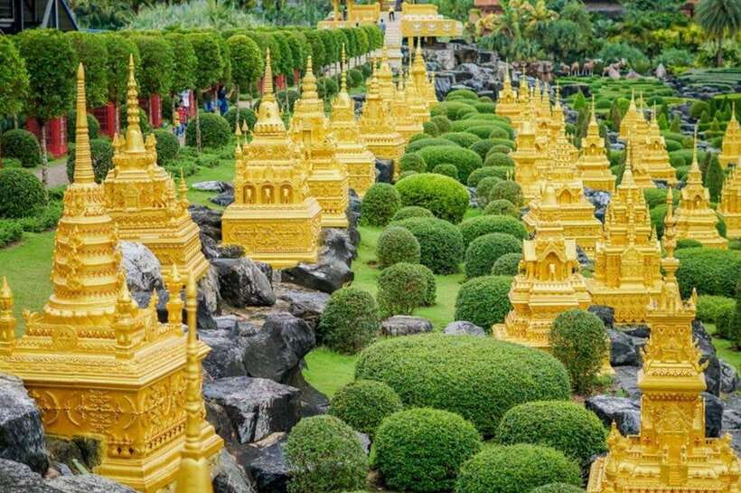 Pattaya: Nong Nooch Tropical Garden Ticket for Foreigners - The science side: cycads and the Cycad Gene Bank