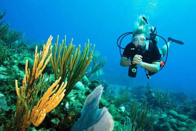 Pattaya PADI Beginner Scuba Diving One Try Dive Depth 6 Meters and Snorkeling ) - Marine life at shallow depth: what to expect and how to enjoy it