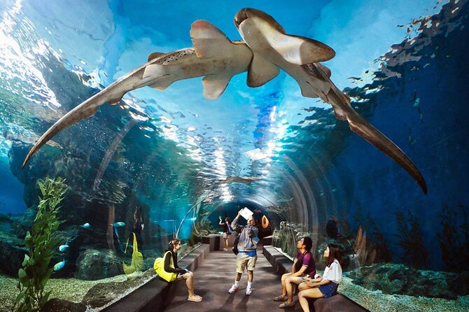 Pattaya Underwater World Admission Ticket - Key highlights at Underwater World Pattaya