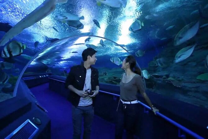 Pattaya Underwater World Admission Ticket - Entering the 105-meter glass ocean tunnel