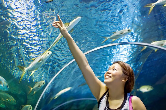 Pattaya Underwater World Admission Ticket - Five themed zones: how to get the full value of your ticket
