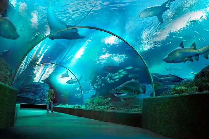 Pattaya Underwater World Admission Ticket - Price and value for a Pattaya aquarium ticket