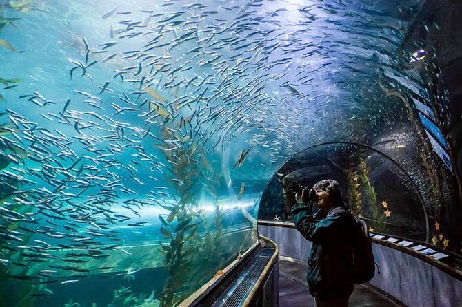 Pattaya Underwater World Admission Ticket - Timing your visit: open daily, plan for a real circuit
