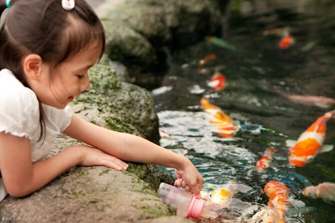 Pattaya Underwater World Admission Ticket - Who this ticket suits best