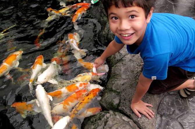 Pattaya Underwater World Admission Ticket - Sharks, rays, and other marine life up close