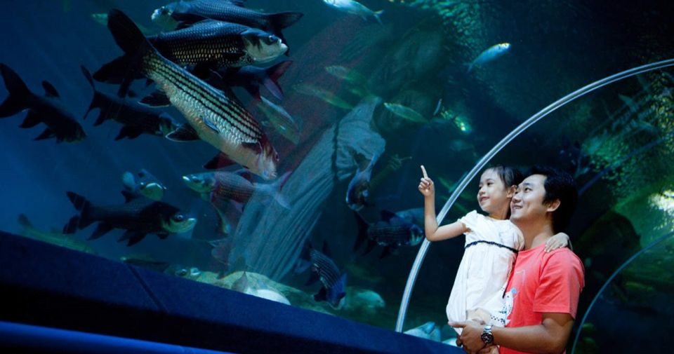 Pattaya: Underwater World Pattaya Aquarium Admission Ticket - Entering the 105-Meter Acrylic Tunnel Experience