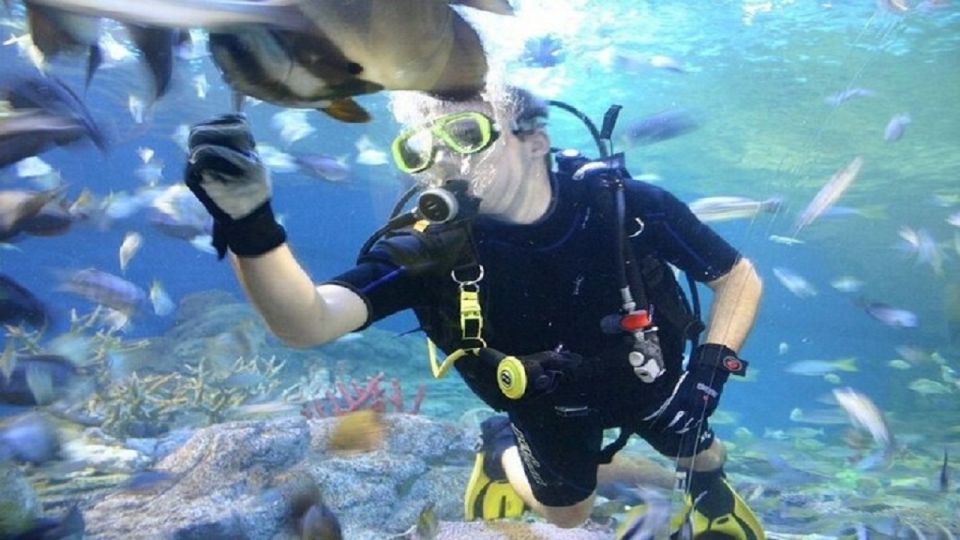 Pattaya: Underwater World Pattaya Aquarium Admission Ticket - Voucher Rules and Passport Checks at the Ticket Counter