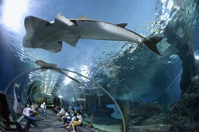 Pattaya Underwater World Tickets with Optional Hotel Pickup - Why prebook Underwater World Pattaya tickets help