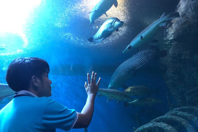 Pattaya Underwater World Tickets with Optional Hotel Pickup - Time expectations, lighting, and photo reality