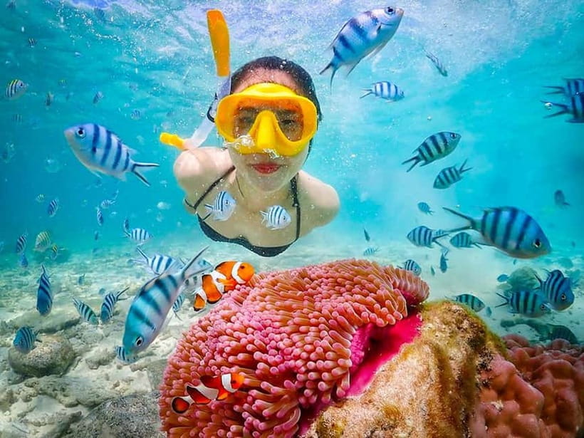 Snorkel & Chill: Nemo Island Trip from Pattaya - Why Nemo Island from Pattaya feels like a smart shortcut