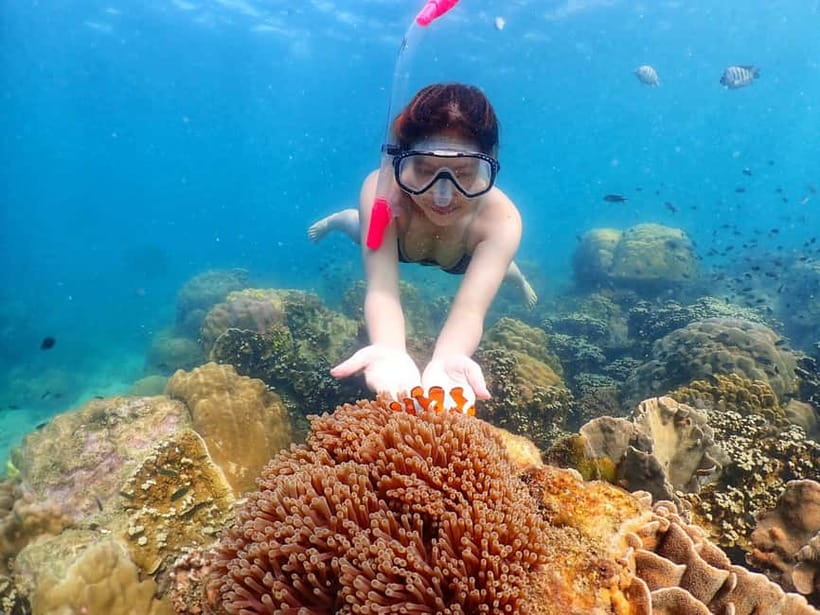 Snorkel & Chill: Nemo Island Trip from Pattaya - When this trip fits you best (and when to skip)